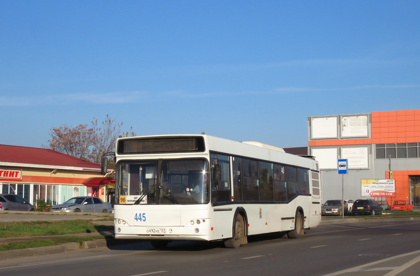 Краснодарский край, МАЗ-103.586 № 445