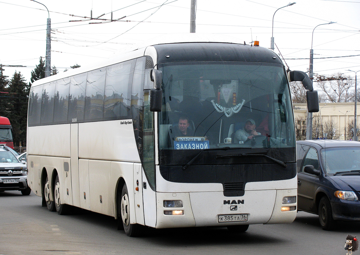 Воронежская область, MAN R08 Lion's Top Coach RHC414 № К 385 ТА 36