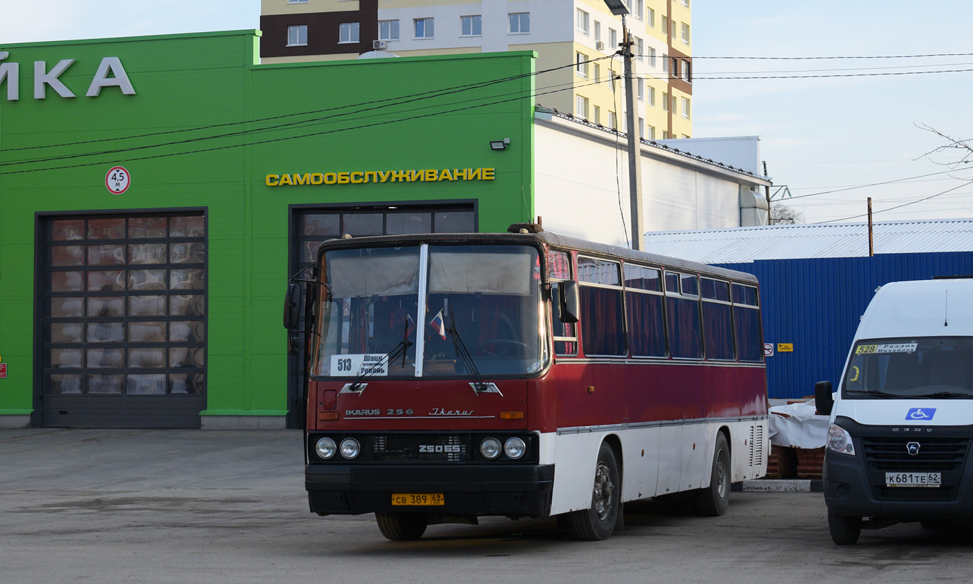 Рязанская область, Ikarus 256.74 № СВ 389 62