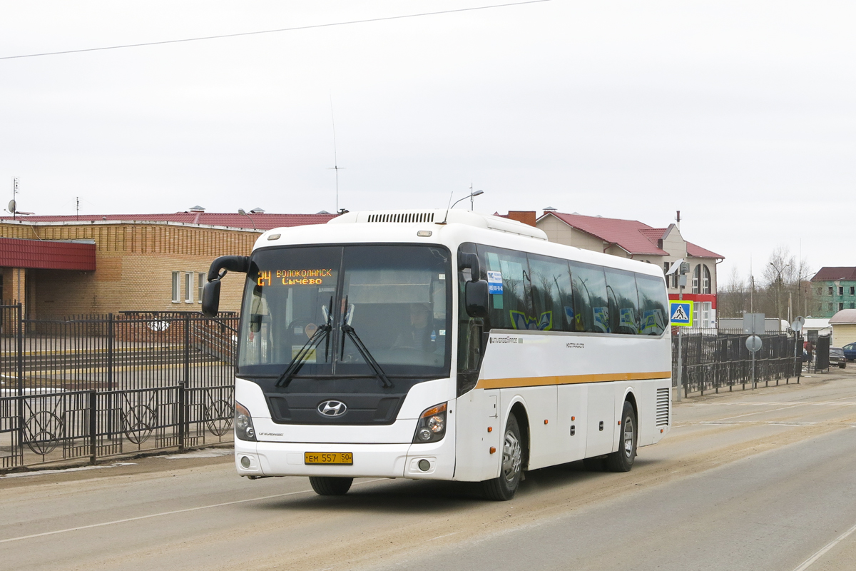 Московская область, Hyundai Universe Space Luxury № 073002