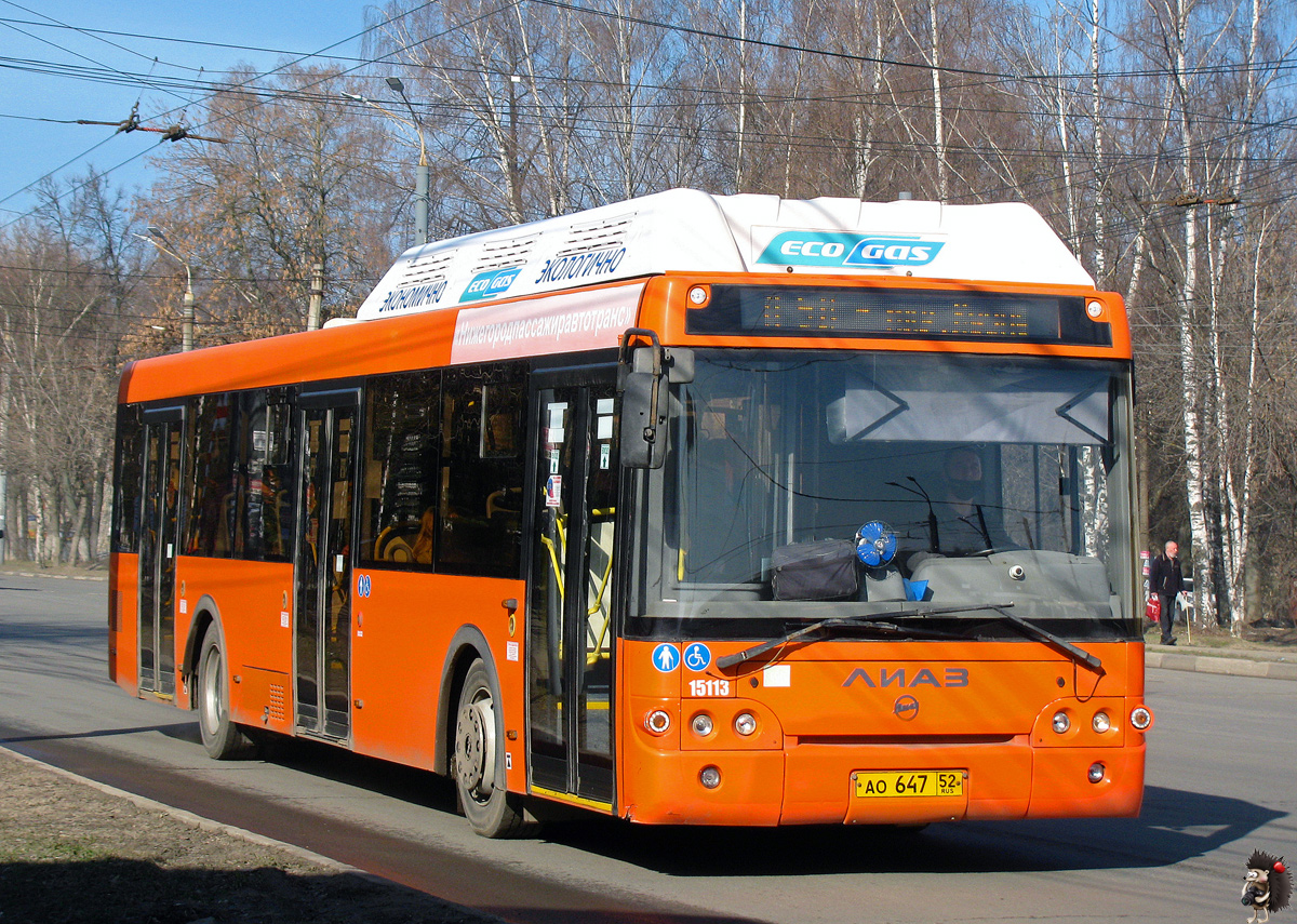 Нижегородская область, ЛиАЗ-5292.67 (CNG) № 15113