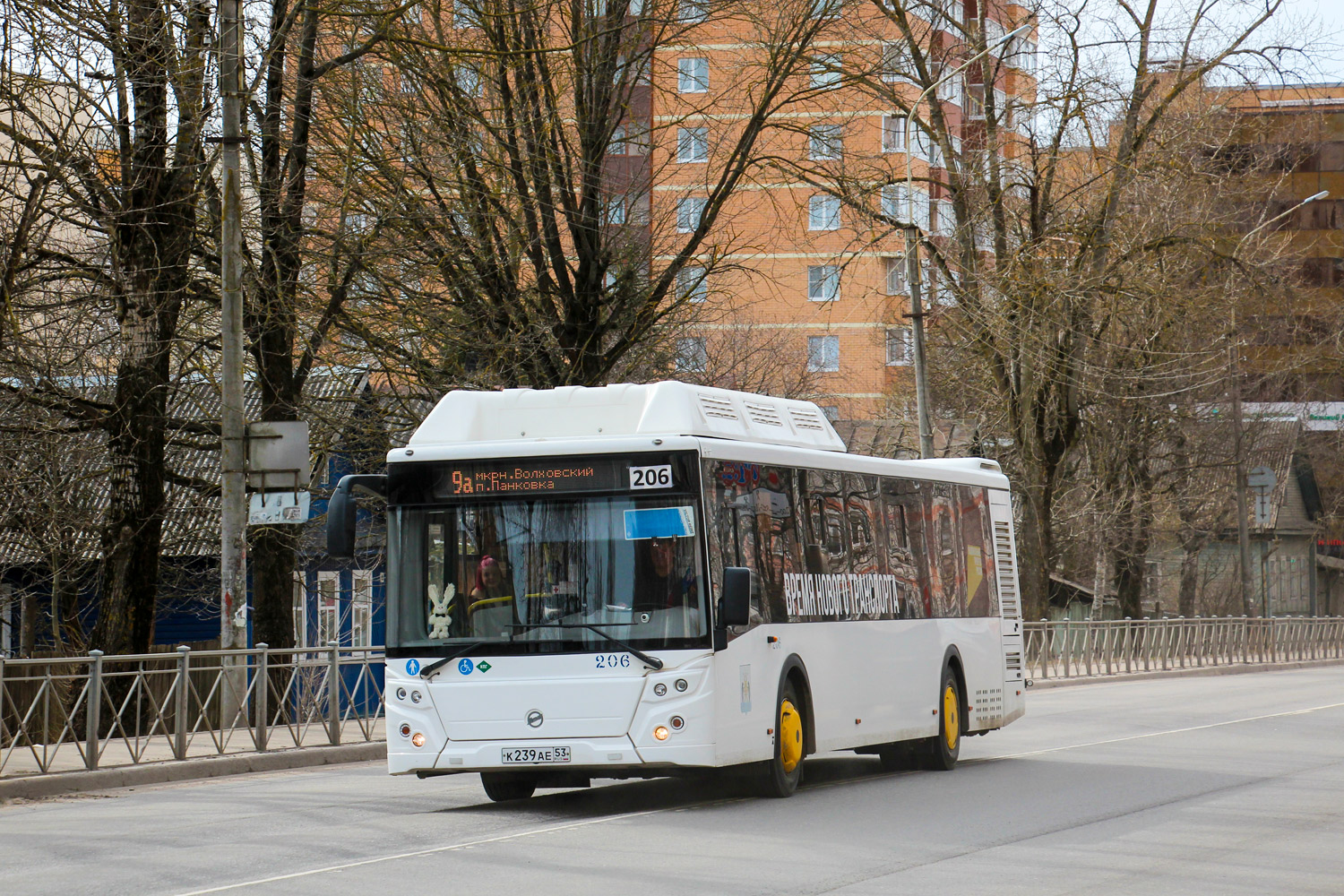 Новгородская область, ЛиАЗ-5292.67 (CNG) № 206