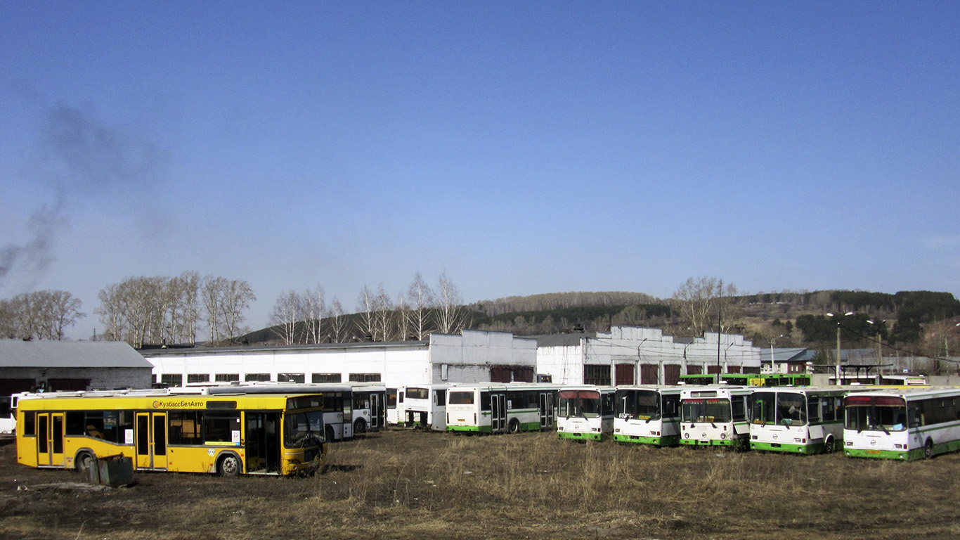 Kemerovo region - Kuzbass, MAZ-103.465 č. Р 716 ВВ 142; Kemerovo region - Kuzbass — Buses without numbers