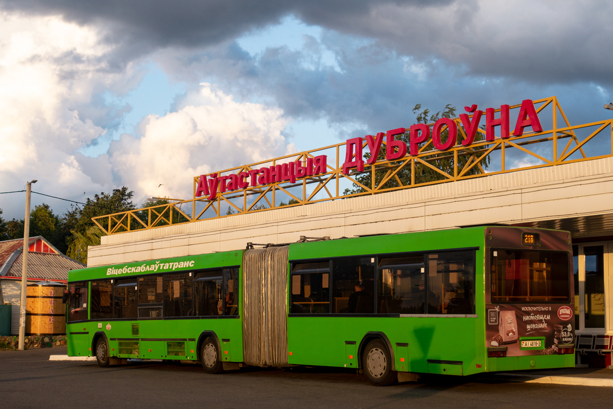 Витебская область, МАЗ-105.465 № 10464