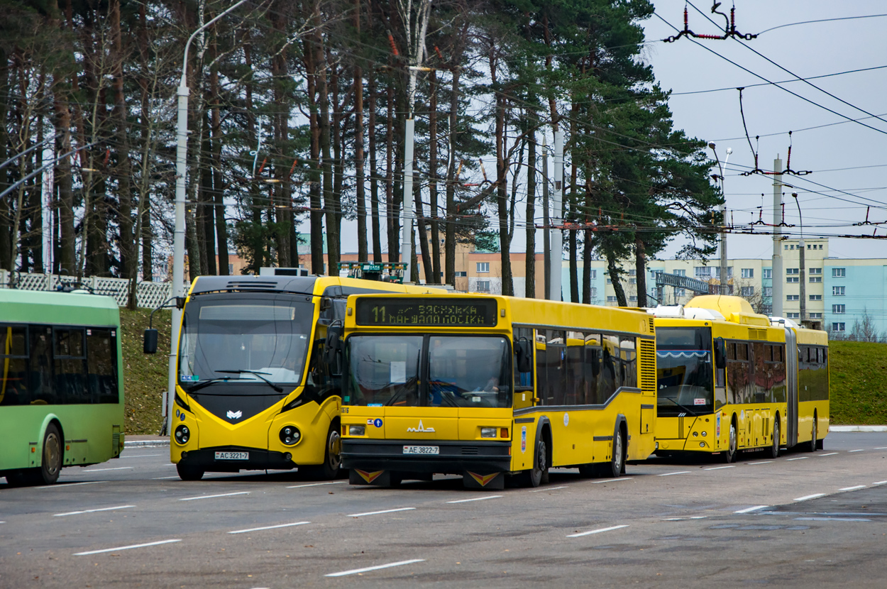 Mińsk, MAZ-103.065 Nr 013676