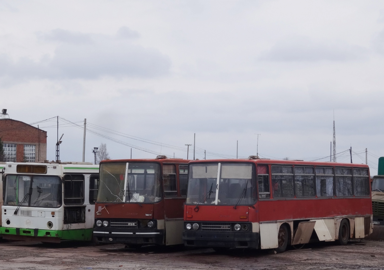 Курская область, Ikarus 256.74 № 482