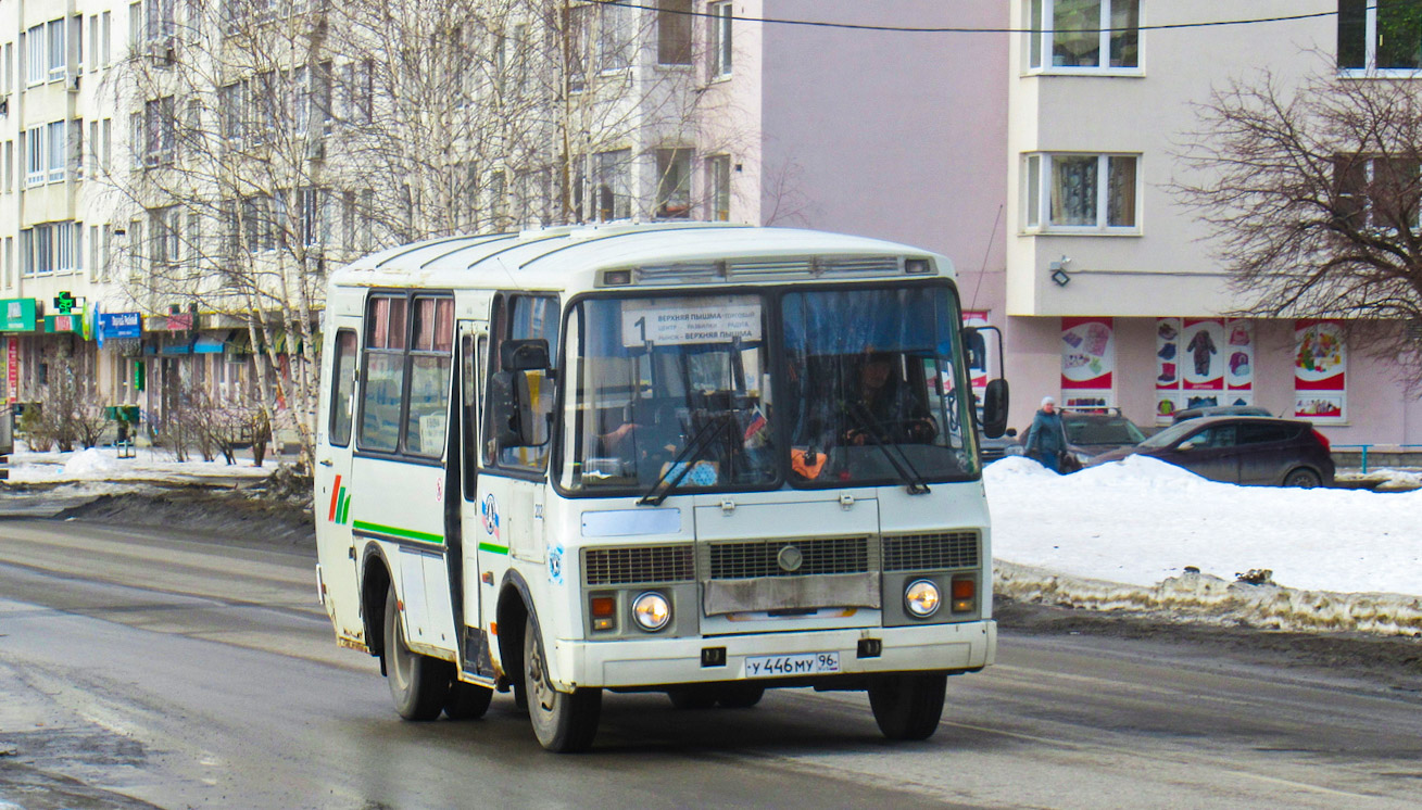 Свердловская область, ПАЗ-32053 № 202