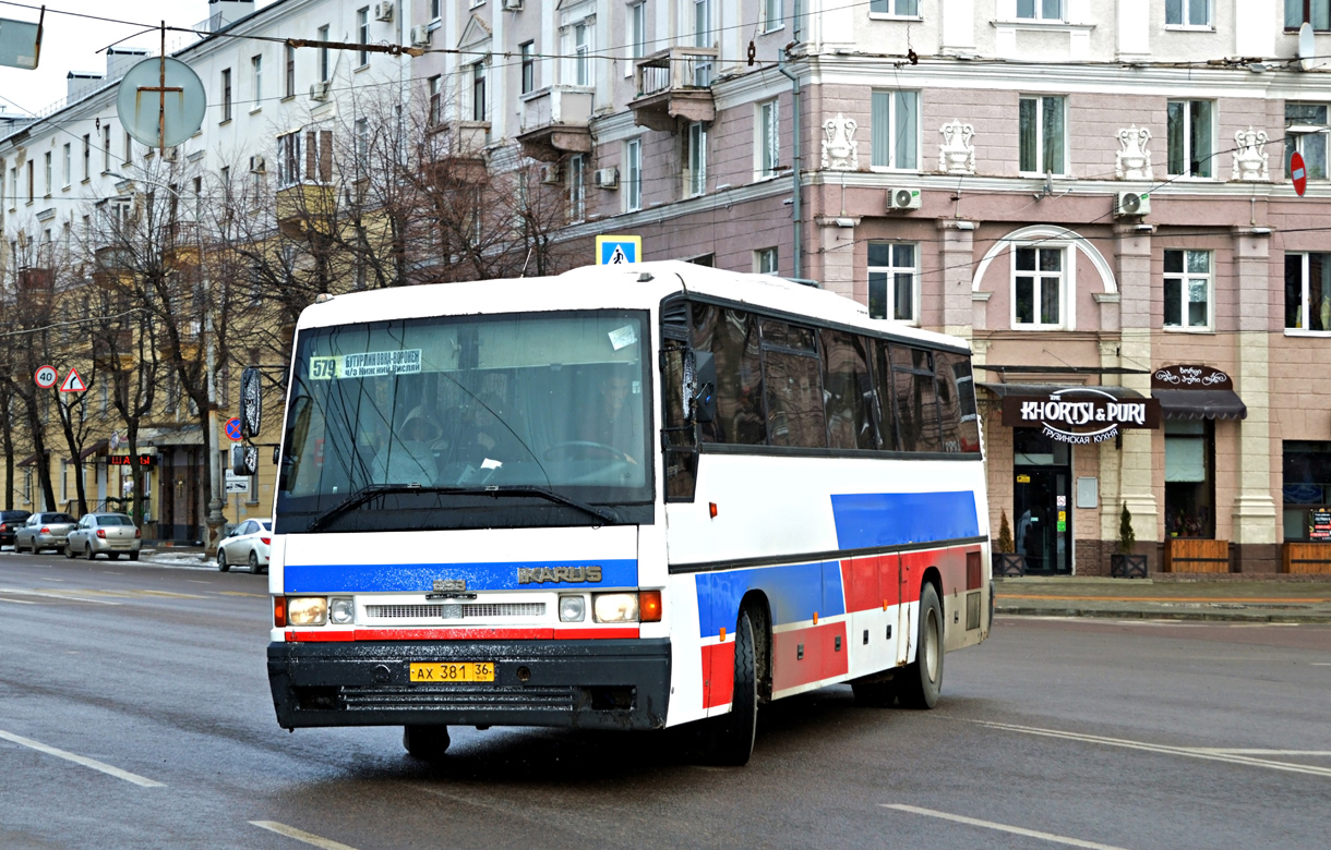 Voronezh region, Ikarus 253.52 № АХ 381 36