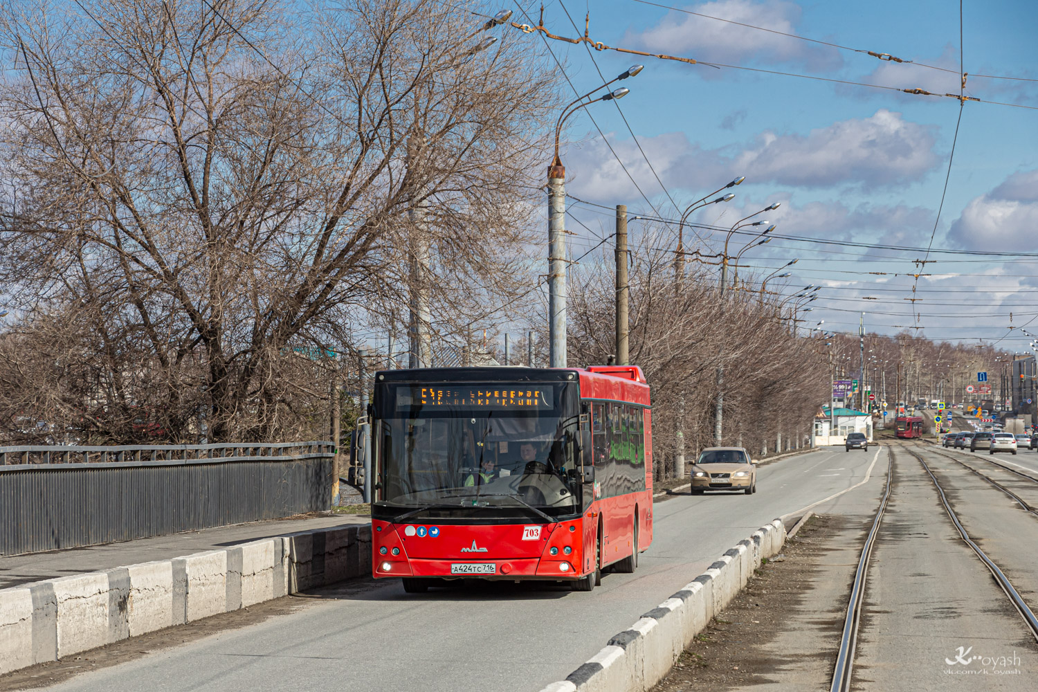 Татарстан, МАЗ-203.069 № 703