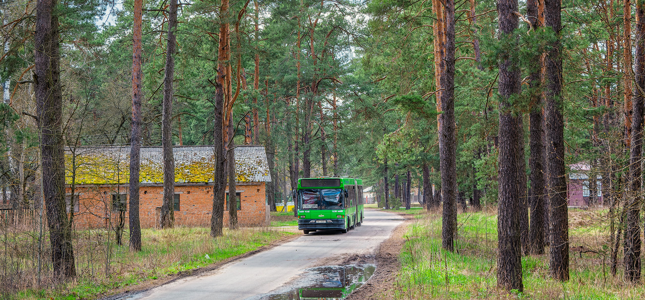 Gomel region, MAZ-105.065 č. 036072