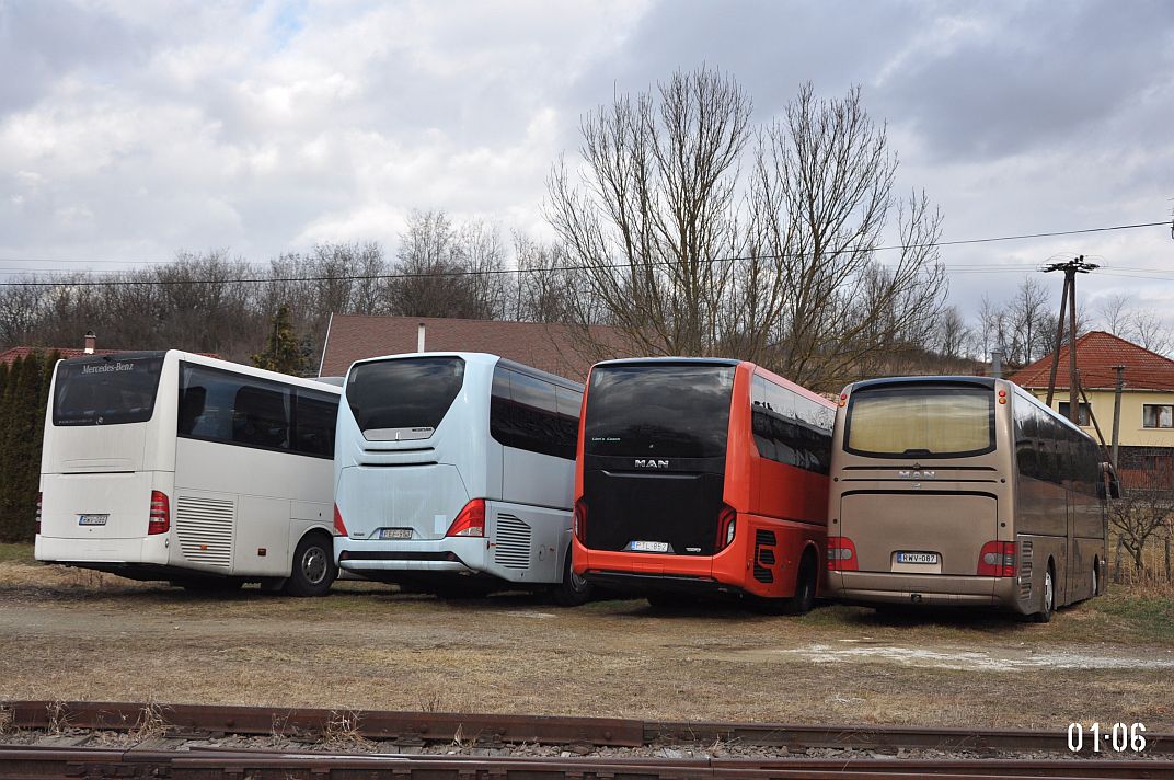 Венгрия, Mercedes-Benz Tourismo II 15RHD № RWV-086; Венгрия, Neoplan P21 N2216SHD Tourliner № PEF-953; Венгрия, MAN R07 Lion's Coach RHC464 № PTL-852; Венгрия, MAN R07 Lion's Coach RHC444 № RWV-087