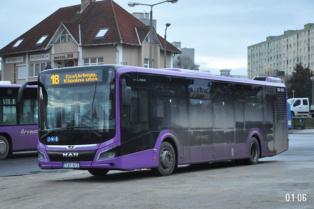Венгрия, MAN 12C Lion's City 12 NL280 EfficientHybrid № TAF-816