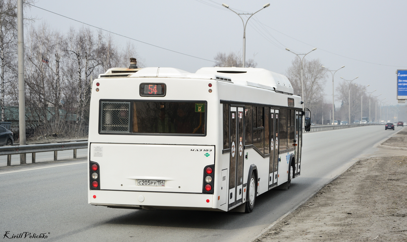 Novosibirsk region, MAZ-103.965 Nr. 11008