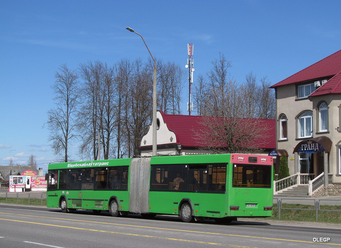 Vitebsk region, MAZ-105.465 Nr. 10464