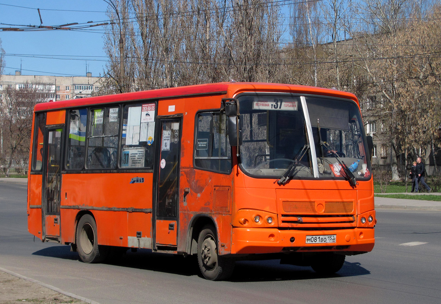 Нижегородская область, ПАЗ-320402-05 № М 081 ВО 152