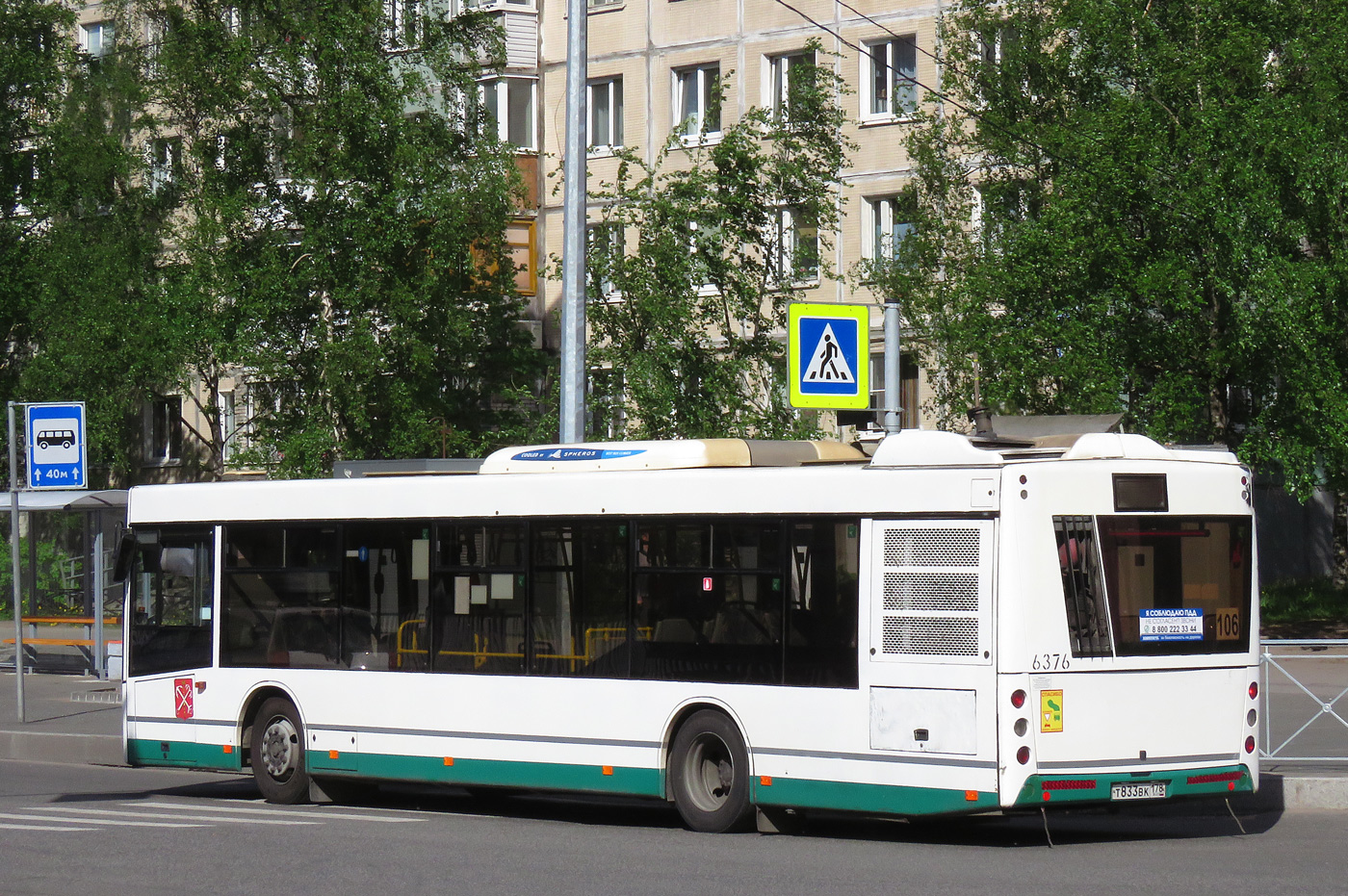 Санкт-Петербург, МАЗ-203.085 № 6376