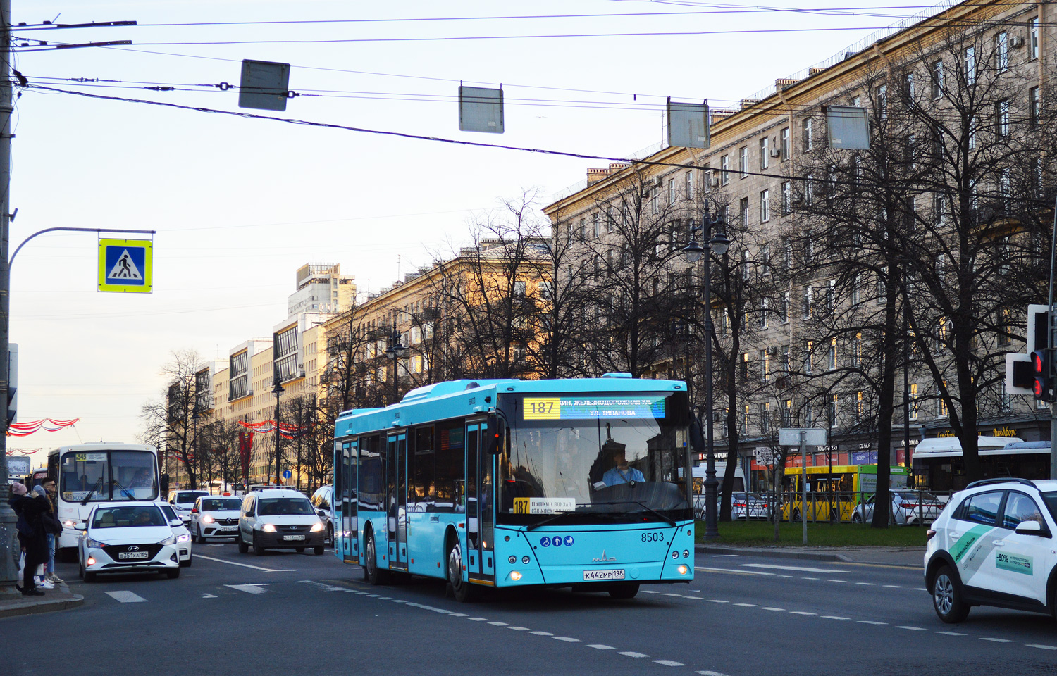 Санкт-Пецярбург, МАЗ-203.016 № 8503