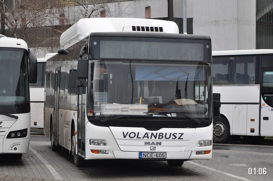 Венгрия, MAN A21 Lion's City NL243 CNG № NCE-605