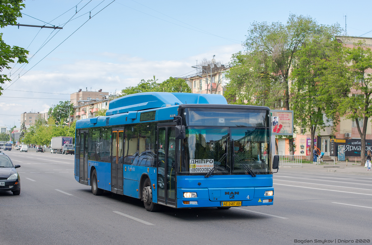 Днепропетровская область, MAN A21 NL313 CNG № 13