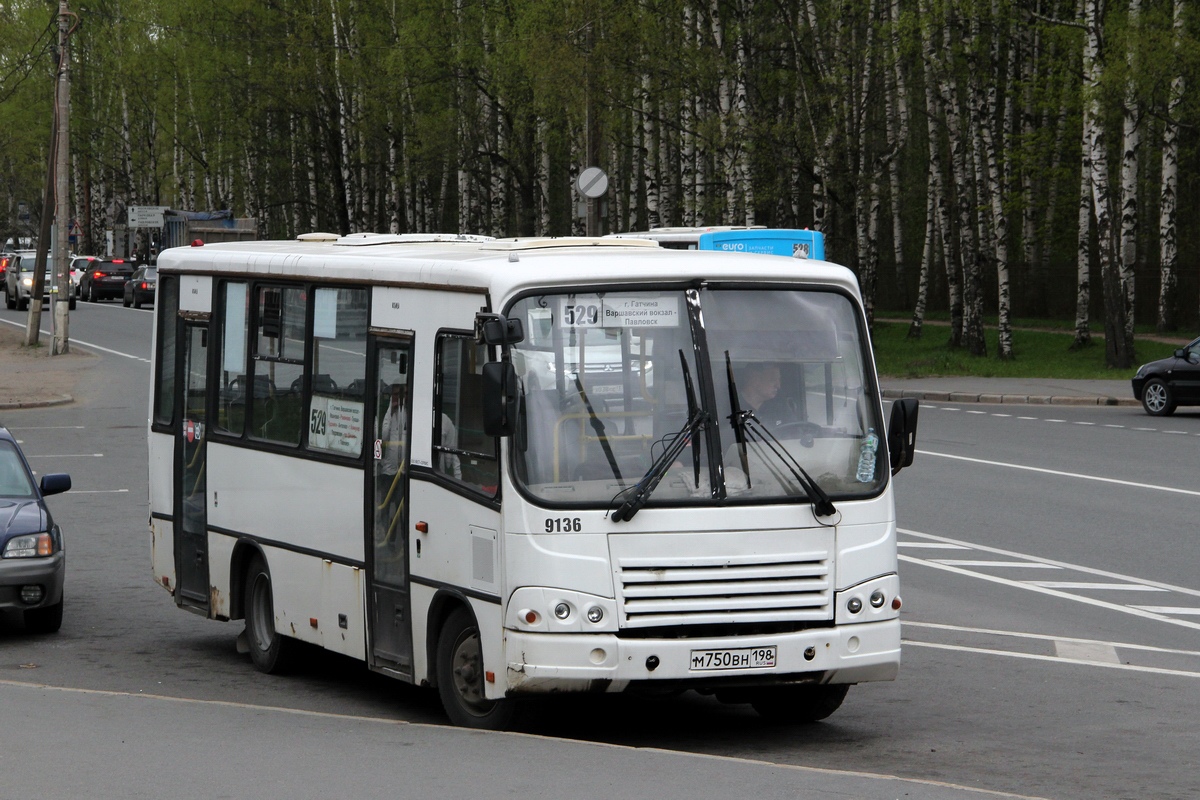 Ленинградская область, ПАЗ-320402-05 № 9136