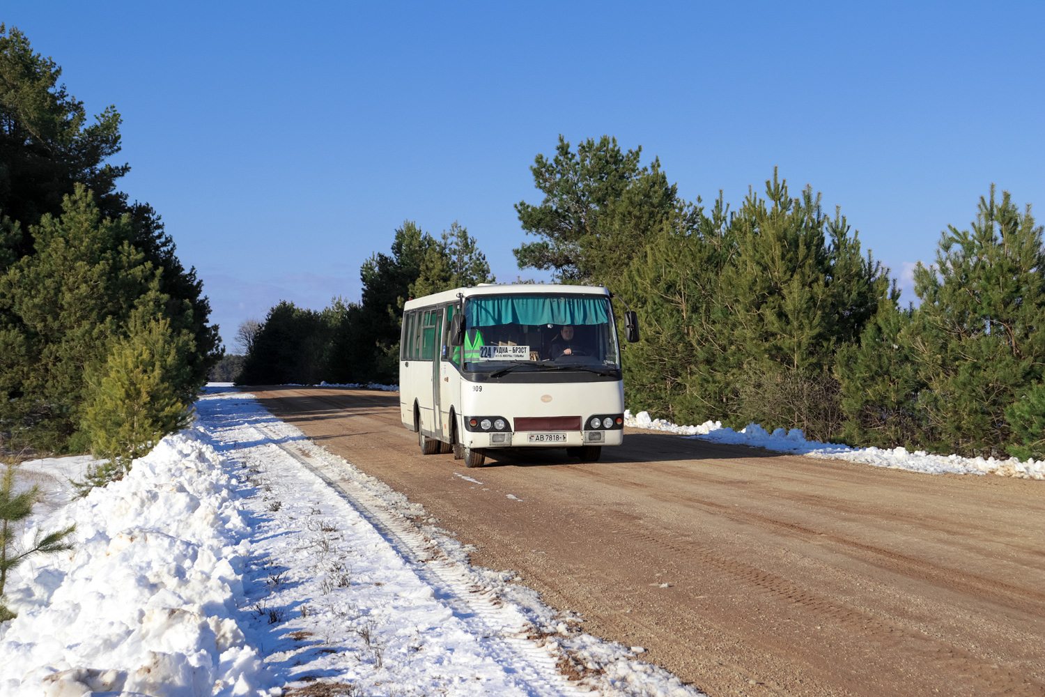 Брестская область, ГАРЗ А0921 "Радимич" № 909