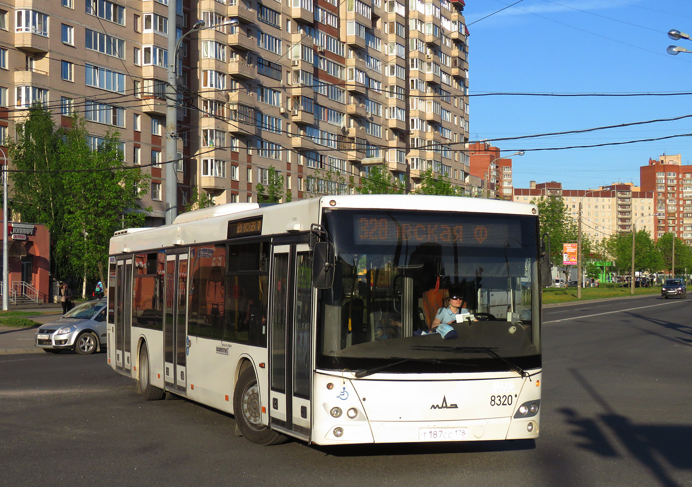 Санкт-Петербург, МАЗ-203.085 № 8320