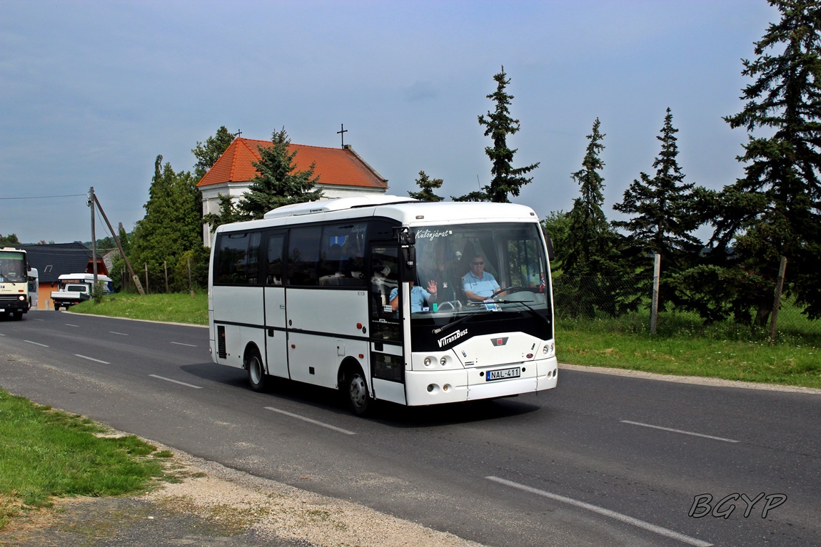 Венгрия, Ikarus EAG E13.51 № NAL-411; Венгрия — III. Nemzetközi Ikarus Találkozó, Tapolca (2022)