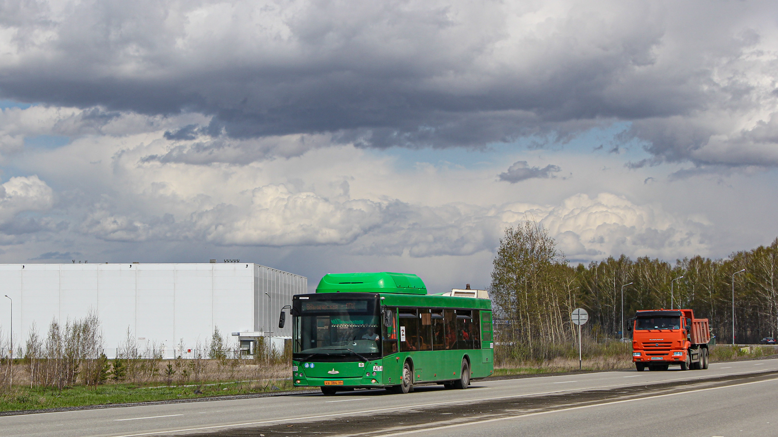 Свердловская область, МАЗ-203.L65 № 1700