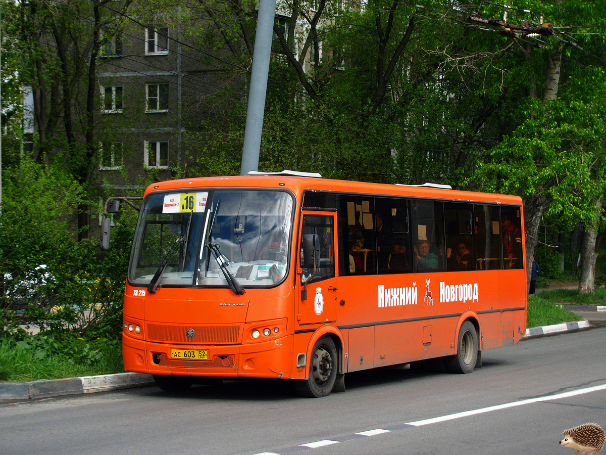 Нижегородская область, ПАЗ-320414-05 "Вектор" (1-2) № 73215