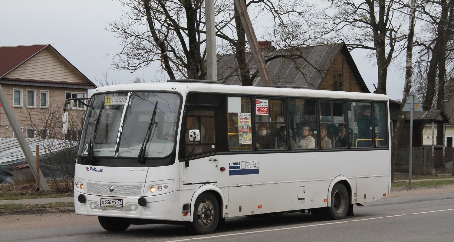 Ленинградская область, ПАЗ-320412-05 "Вектор" № О 336 ЕХ 47