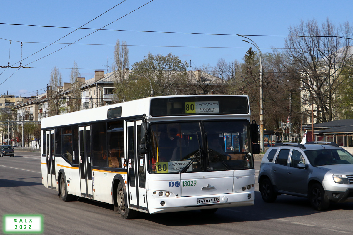 Воронежская область, МАЗ-103.465 № 13029