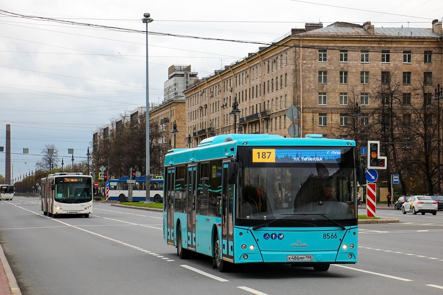 Санкт-Петербург, МАЗ-203.016 № 8566