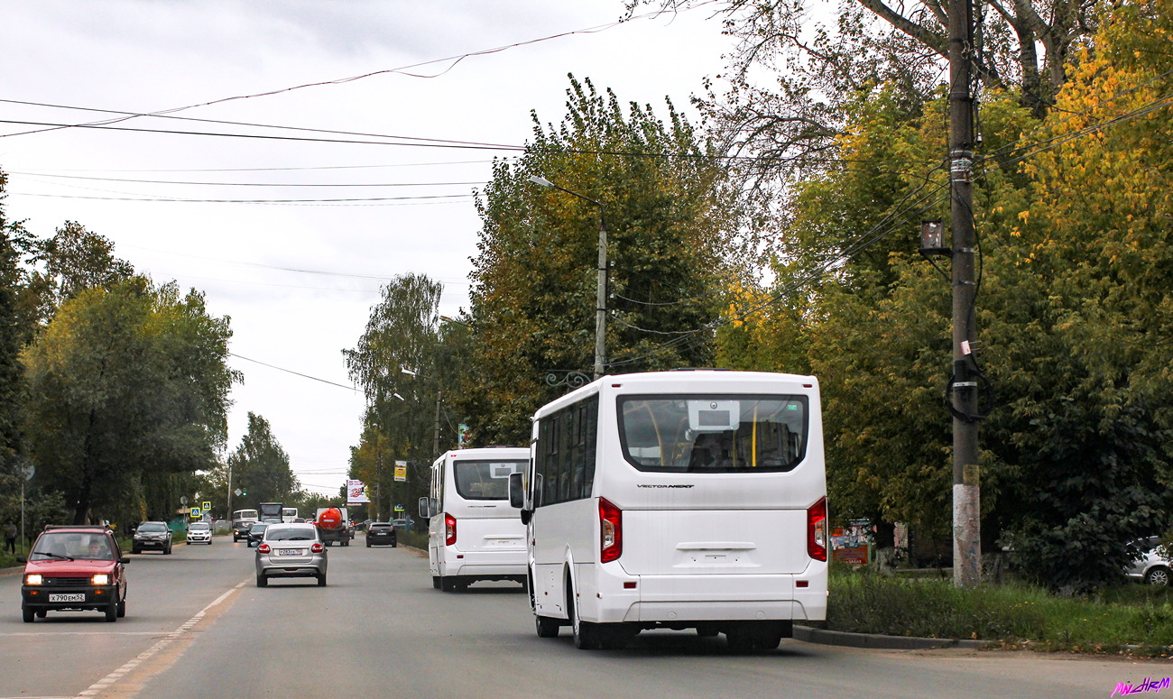 Нижегородская область — Новые автобусы ООО "ПАЗ"