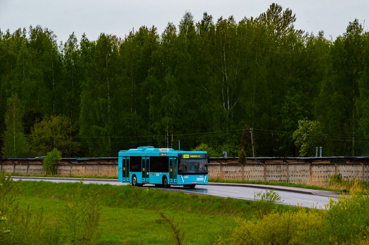 Санкт-Петербург, МАЗ-203.945 № 38048