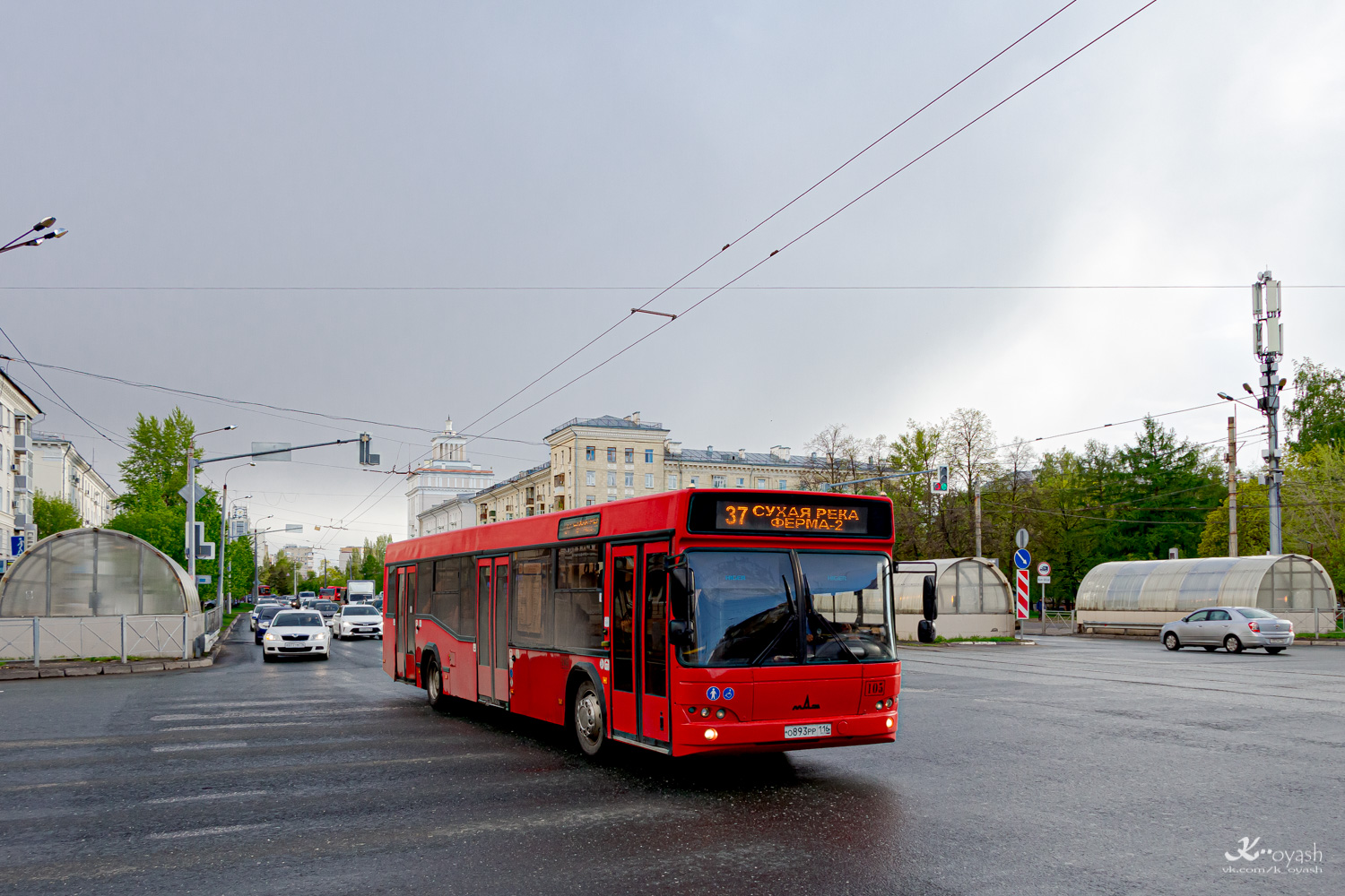 Татарстан, МАЗ-103.465 № 105