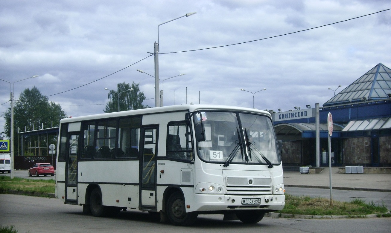 Ленинградская область, ПАЗ-320402-05 № 04502