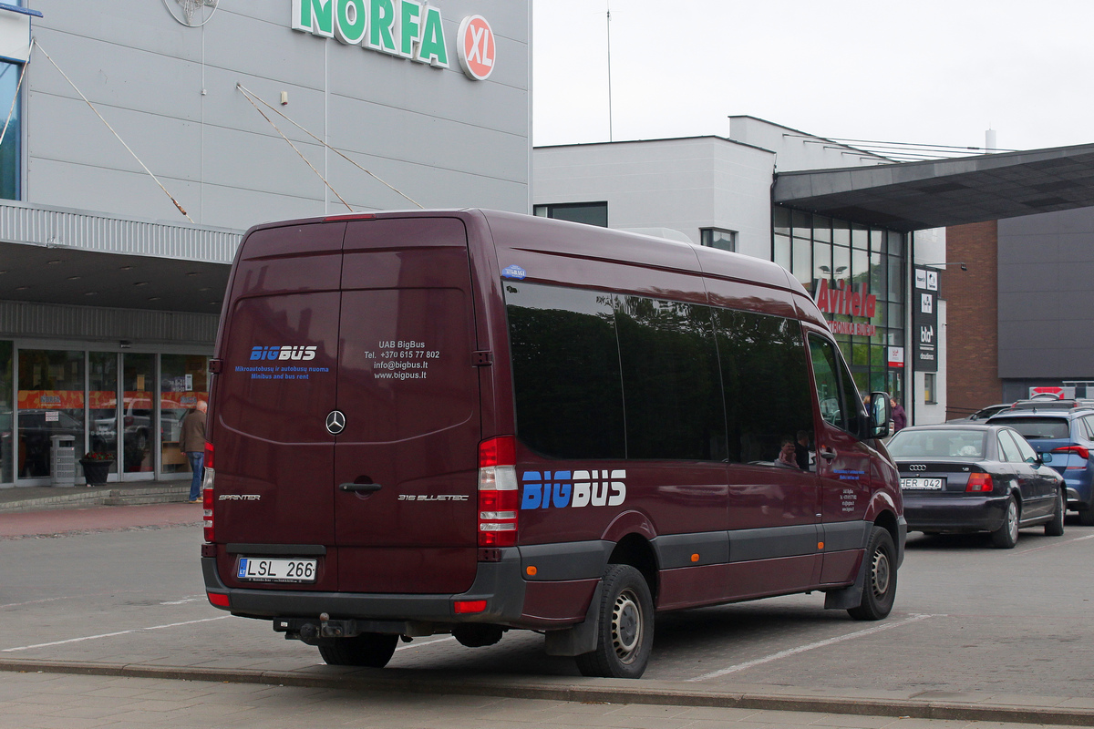 Литва, (прочие модели) № LSL 266