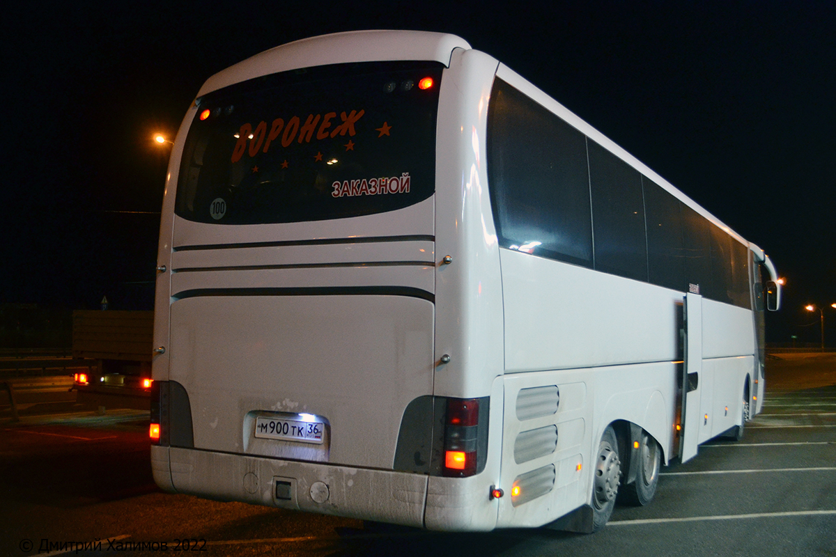 Воронежская область, MAN R03 Lion's Top Star RHS464-13,8 № М 900 ТК 36