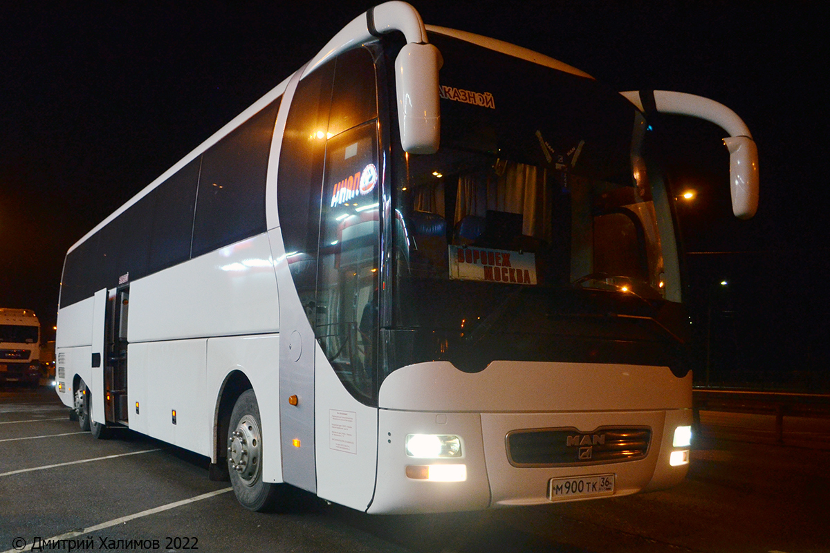 Воронежская область, MAN R03 Lion's Top Star RHS464-13,8 № М 900 ТК 36