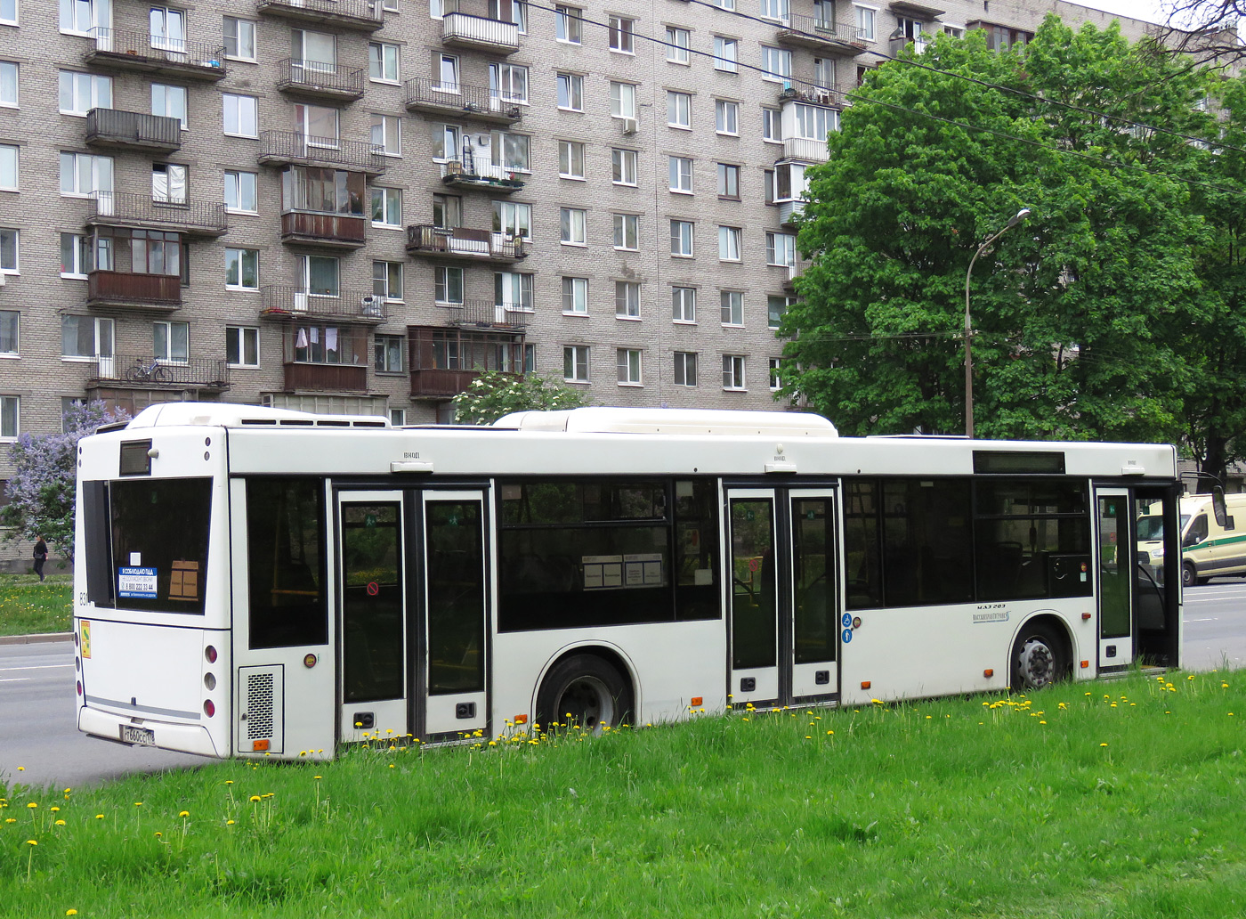 Санкт-Петербург, МАЗ-203.085 № 8314