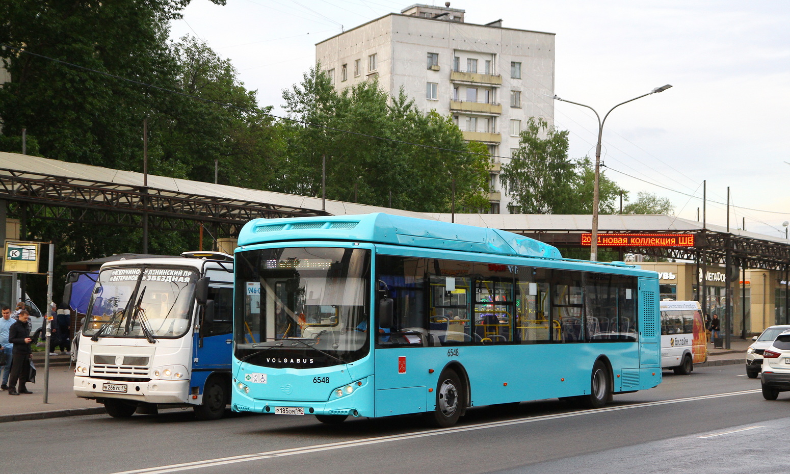 Petrohrad, Volgabus-5270.G4 (CNG) č. 6548