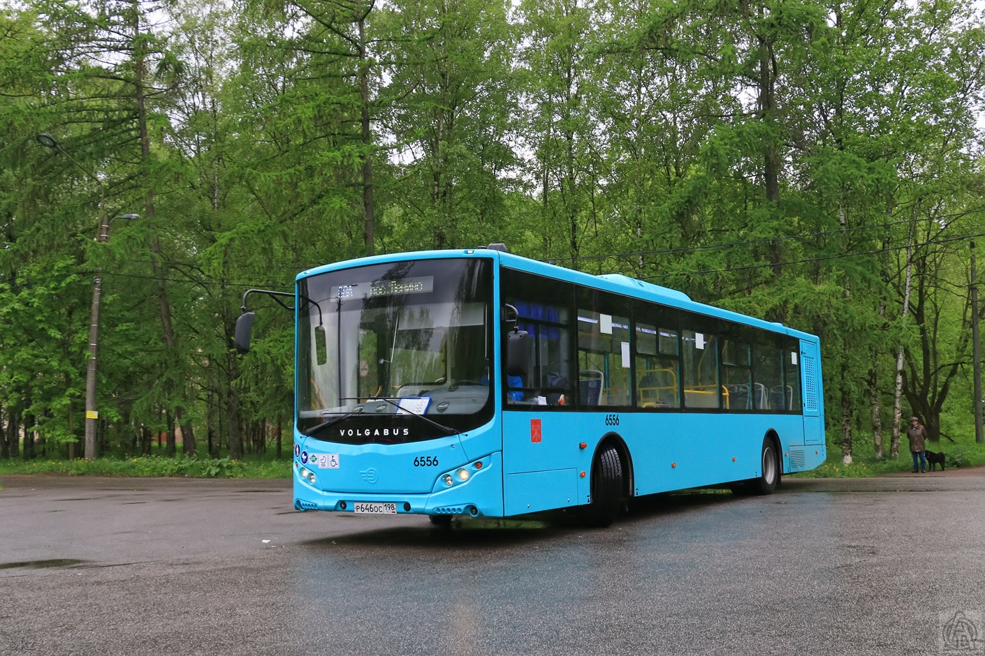 Sankt Petersburg, Volgabus-5270.G2 (LNG) Nr 6556