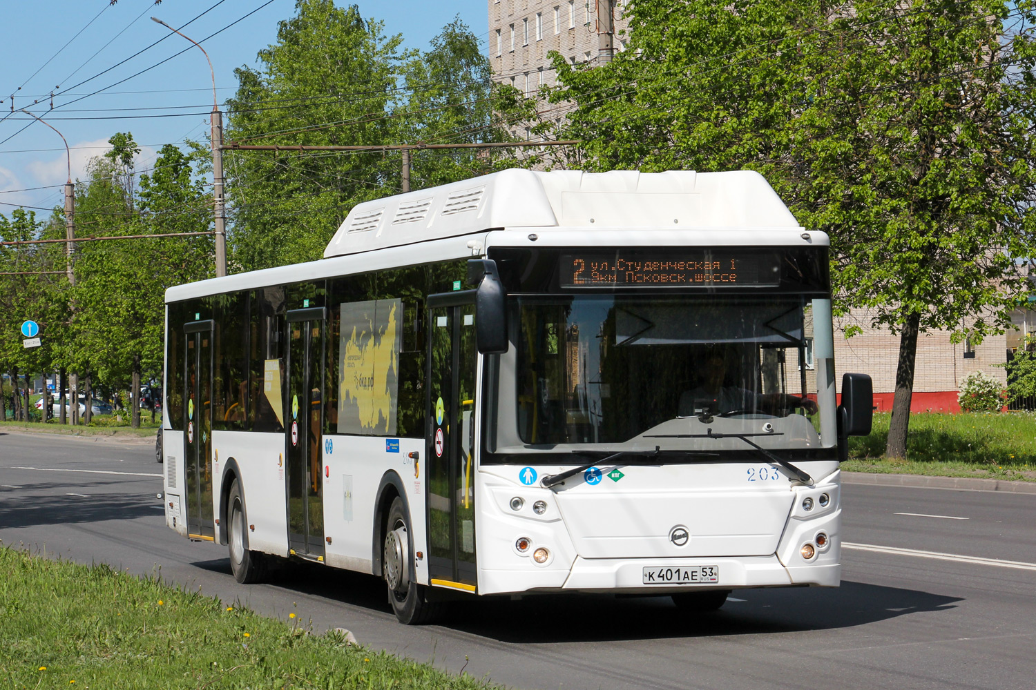 Новгородская область, ЛиАЗ-5292.67 (CNG) № 203