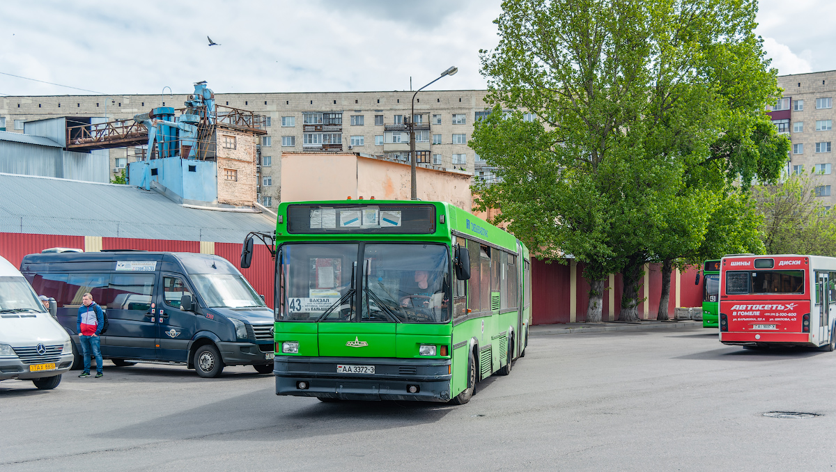 Гомельская область, МАЗ-105.060 № 014620