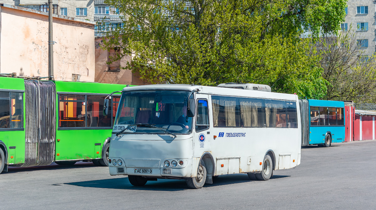 Гомельская область, ГАРЗ А09212 "Радимич" № 015441