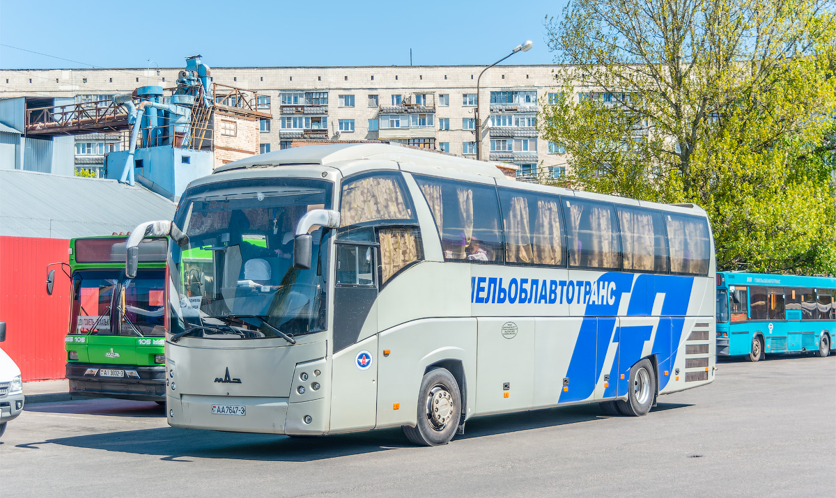 Гомельская область, МАЗ-251.050 № 014613