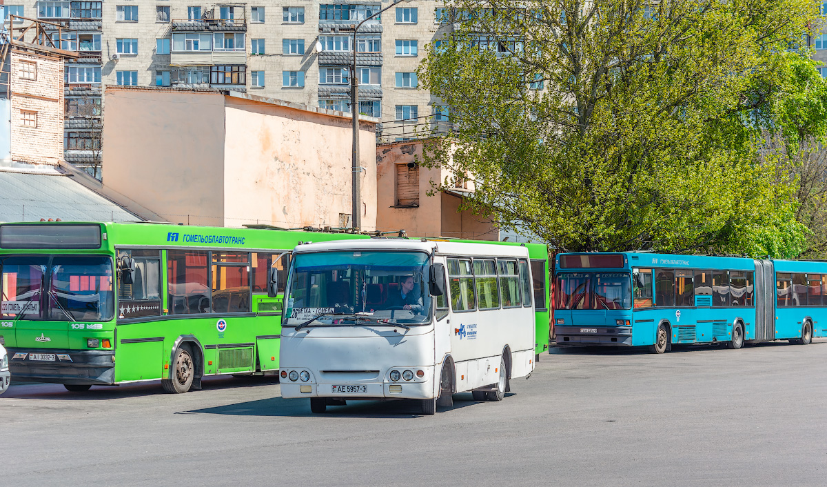 Гомельская область, ГАРЗ А09212 "Радимич" № АЕ 5957-3