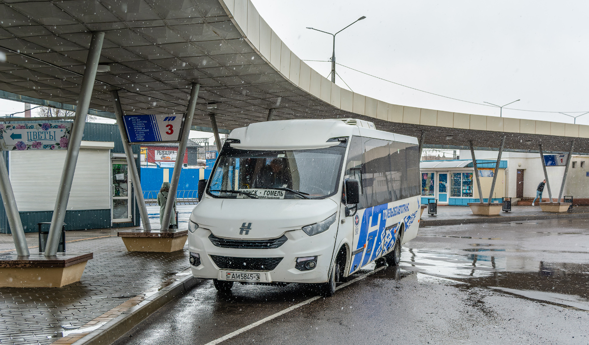 Gomel és környéke, Neman-420234-511 sz.: 016004; Gomel és környéke — Bus terminals and bus stations