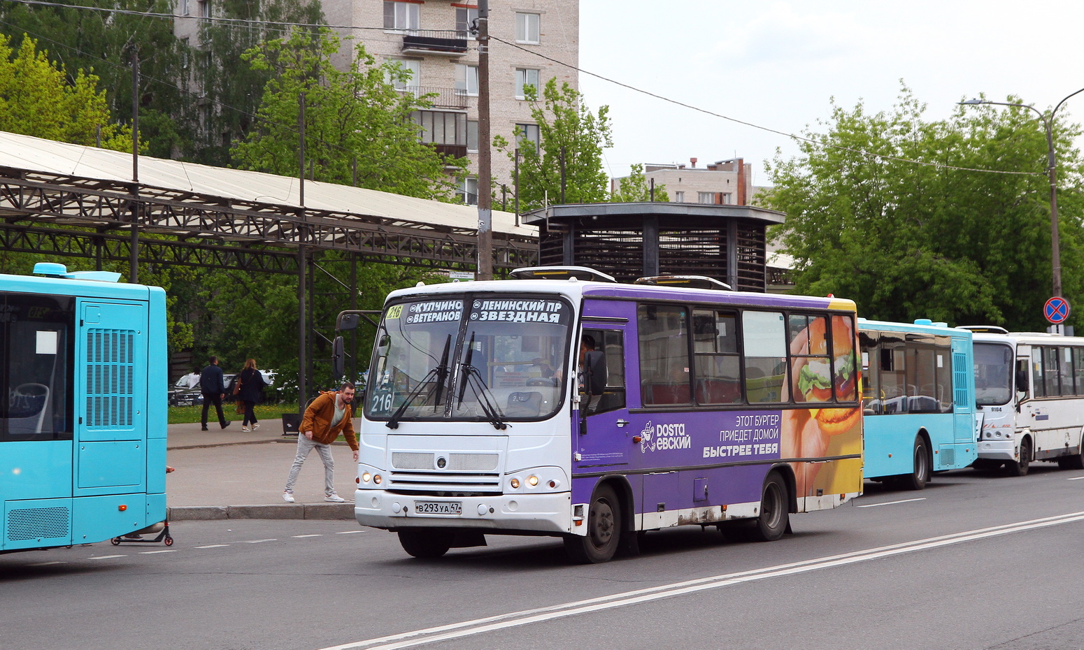 Санкт-Петербург, ПАЗ-320402-05 № В 293 УА 47