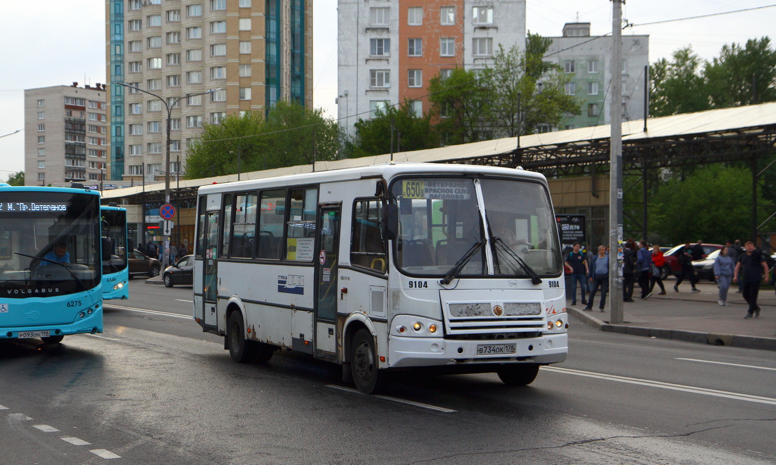 Ленинградская область, ПАЗ-320412-05 № 9104